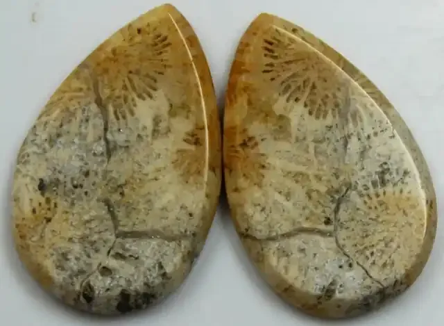 30.50 CTS PAIR OF POLISHED CORAL NATURAL STONES