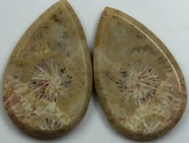 30.65 CTS PAIR OF POLISHED CORAL NATURAL STONES