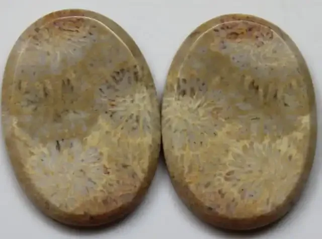 30.65 CTS PAIR OF POLISHED CORAL NATURAL STONES