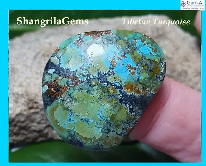 30mm Tibetan turquoise cabochon free form 30 by 24 by 4.5mm 21ct