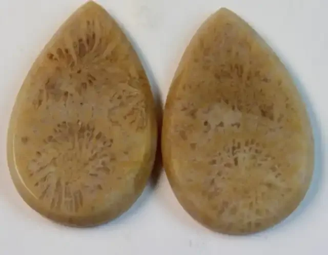 31.30 CTS PAIR OF POLISHED CORAL NATURAL STONES