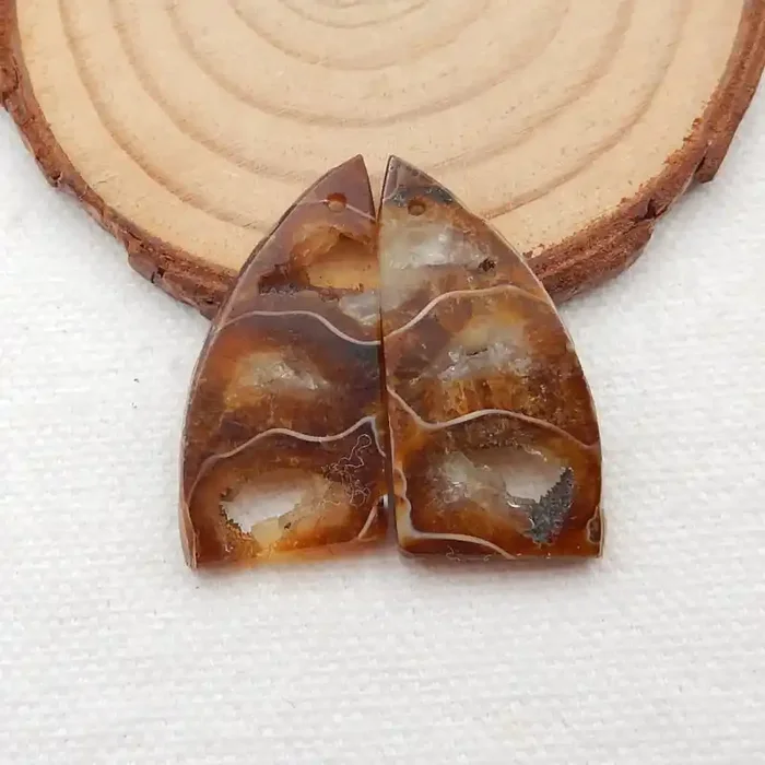 31.5cts Ammonite Fossil Earrings Handmade Earrings Gift G139