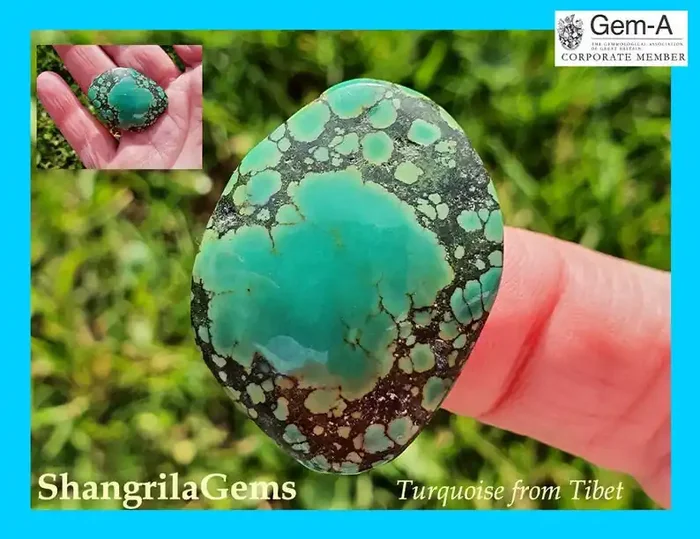 31mm 24ct Tibetan Turquoise CABOCHON 31 by 23 by 4mm freeform