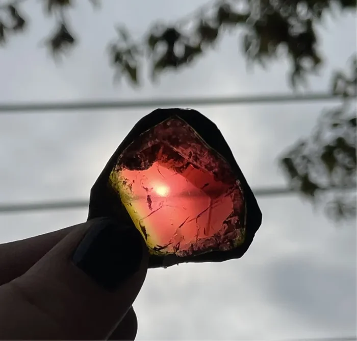 32.6ct Pink Liddicoatite Slice, Rare Tourmaline from Antsirabe, Madagascar