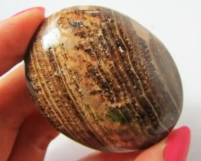 322.6CTS MOROCCAN AGATE PALMSTONE GG1167