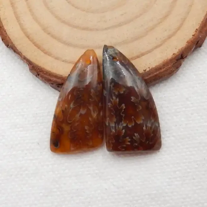32cts Ammonite Fossil Earrings Handmade Earrings Gift G141