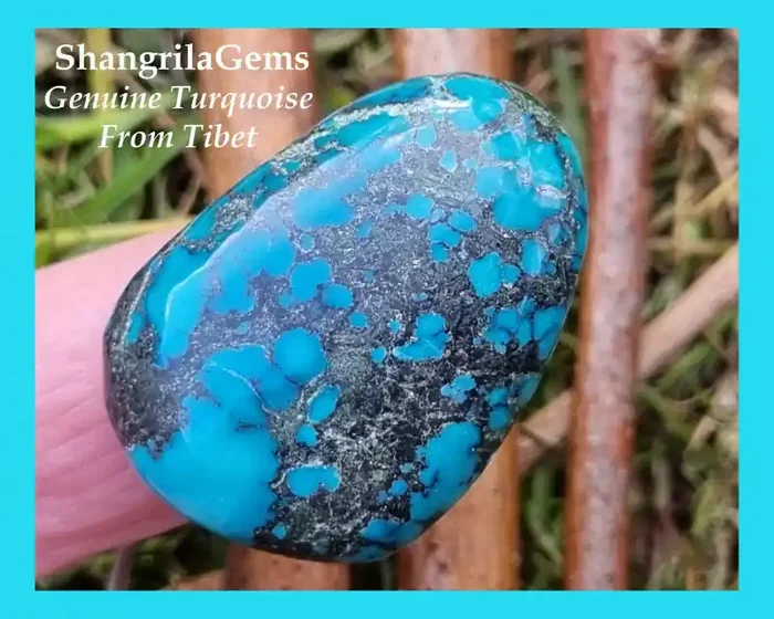 32mm Tibetan Turquoise freeform oval cabochon Spider‘s web markings 32ct
