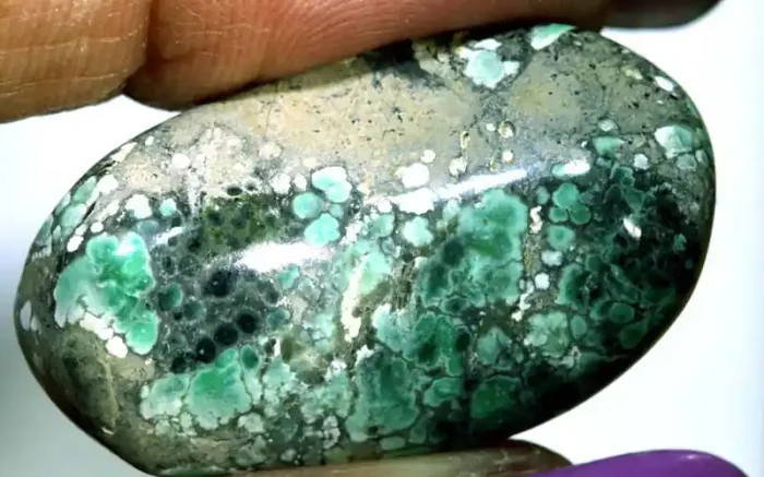 33 CTS BLUEBOY VARISCITE CLAM PSEUDOMORPH TBG-3388