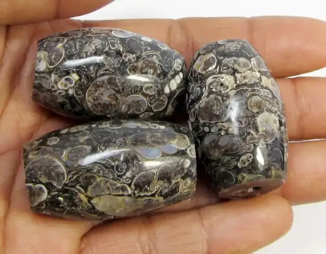 332 CTS THREE NATURAL PALM ROOT FOSSIL BEADS AGR252