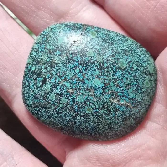 33mm Tibetan Turquoise freeform cushion cabochon green blue 35ct