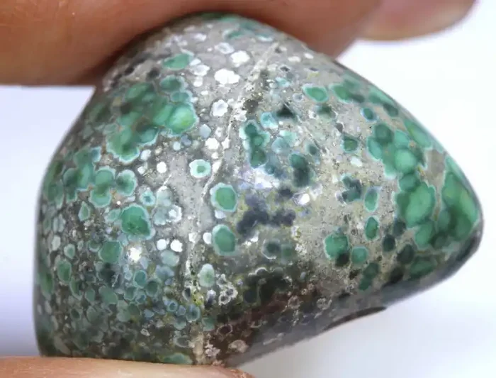 34.80CTS BLUEBOY VARISCITE CLAM PSEUDOMORPH DRILLED TBG-3520