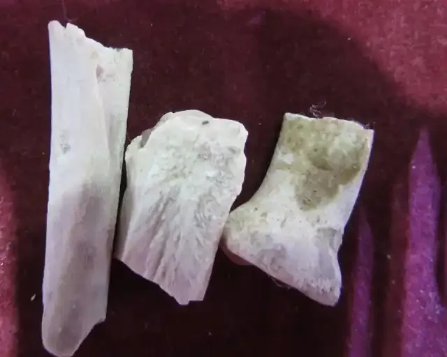 35 Million year old oreodon Bone Fragments AGR 1512