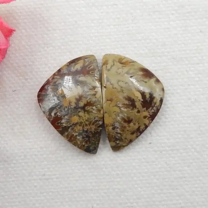 36.5CTS Twinkle Natural Ammonite Cabochon Pair ^ Fossil Cabochon Pair G291