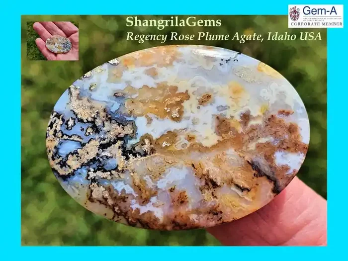 36mm Regency Rose Plume Agate oval Cabochon Idaho USA 43 by 30 by 3mm