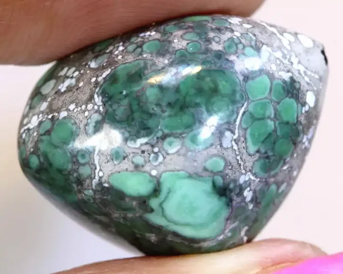 37.05CTS BLUEBOY VARISCITE CLAM PSEUDOMORPH TOP DRILLED TBG-3497