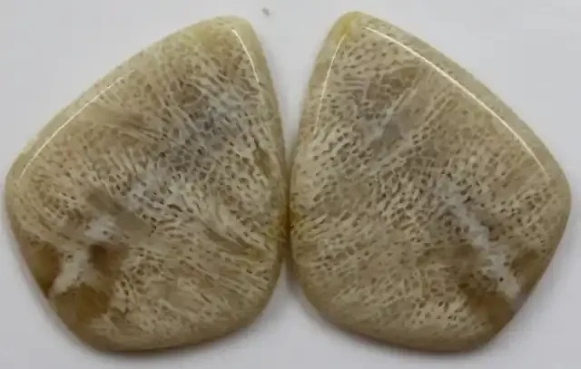 37.35 CTS PAIR OF POLISHED CORAL NATURAL STONES