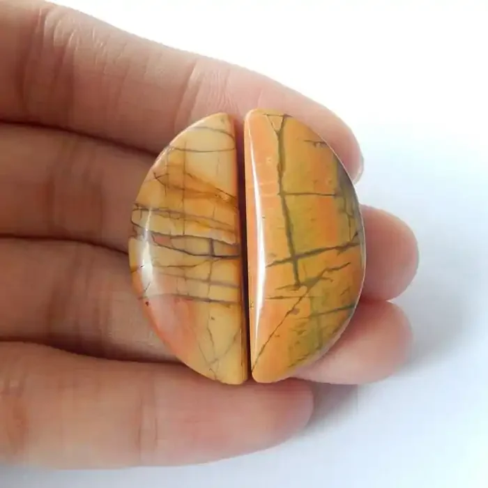37ct Natural Multi-Color Picasso Jasper Cabochons(17110808)