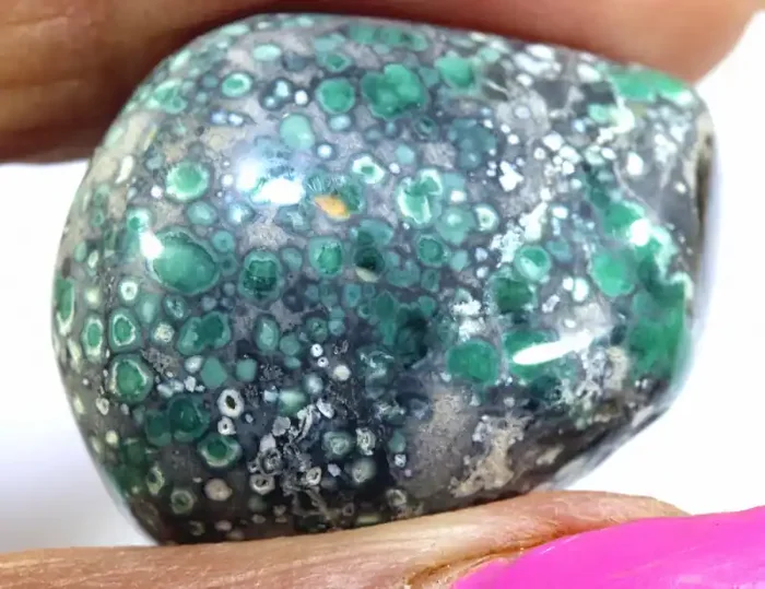 38.50CTS BLUEBOY VARISCITE CLAM PSEUDOMORPH SIDE DRILLED TBG-3503