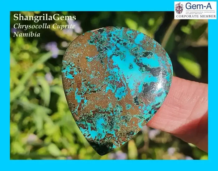 38mm 54.2ct Chrysocolla with cuprite Namibia cabochon drop pear shape 38 by