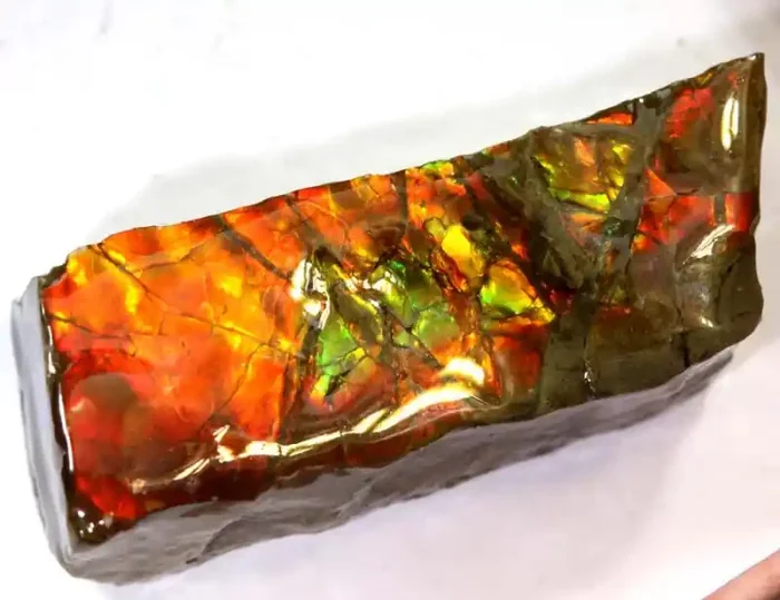 39.15-CTS AMMOLITE SPECIMEN RG-2816