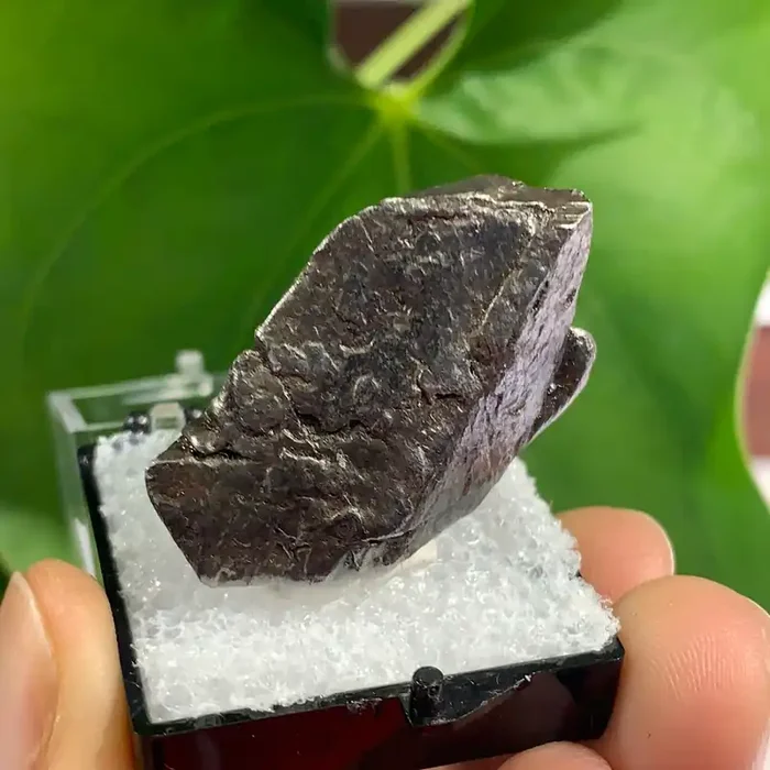 39.26 g Gibeon Meteorite, Iron and Nickel Meteorite, Gibeon, Namibia