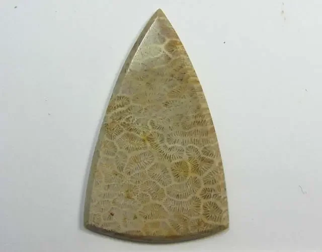 39.55 CTS ONE NATURAL CORAL FOSSIL STONE MS1110