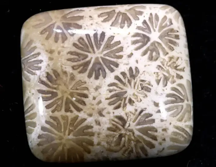 39.70 CTS CORAL INDONESIA TBG-367
