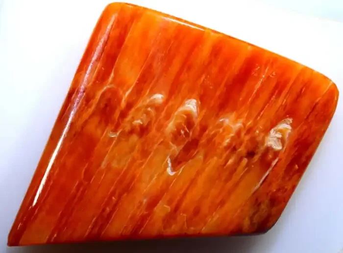 39 CTS SPINY OYSTER SHELL TBG-3107