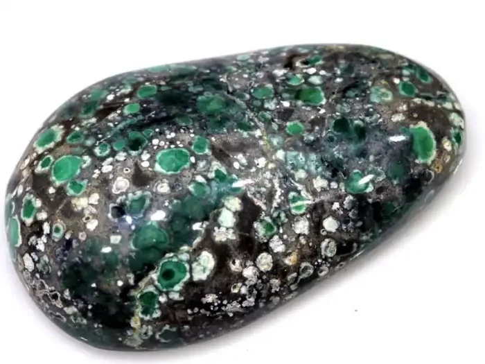 39CTS BLUEBOY VARISCITE CLAM PSEUDOMORPH TBG-3398