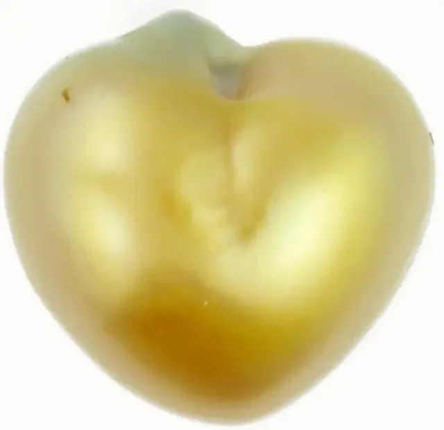 4.8 Cts Golden Love Heart Shape Natural Pearl PPP892