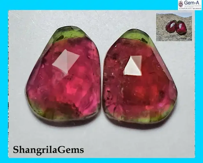4.92ct 11.5mm Pair Watermelon Tourmaline pink green rose cut gems 11.5by 8.