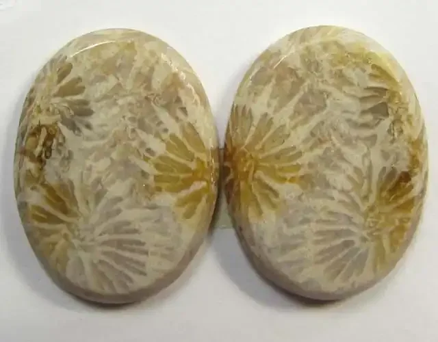 4 g ONE PAIR NATURAL CORAL FOSSIL STONES MS 1080