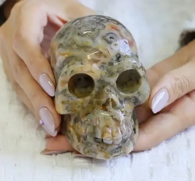 4 Inch Crazy Lace Agate Skull