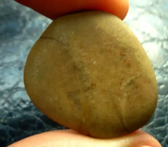 41 CTS GASTROLITHS DINOSAURS GIZZARD STONE MS 288