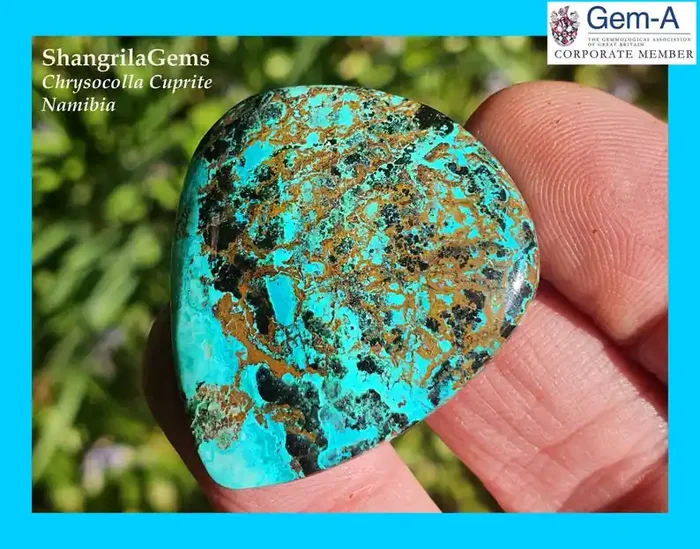 41mm Chrysocolla turqoise gem silica oval Cabochon 39ct