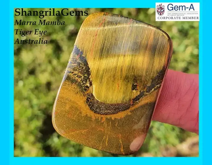 41mm Marra Mamba Tiger‘s Eye From Australia