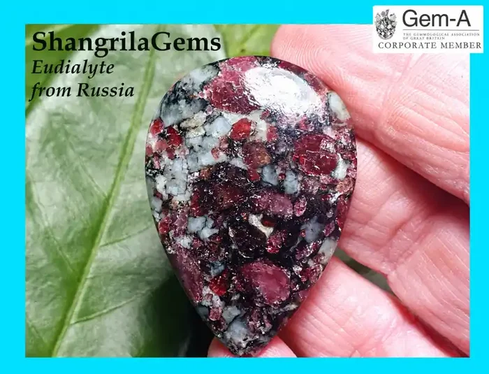 42mm 42ct Eudialyte cabochon AAA quality 42ct 42 by 30 by 4mm