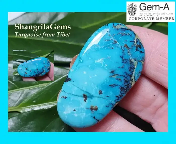 42mm 62ct Tibetan turquoise cabochon free form 42 by 23 by 6mm