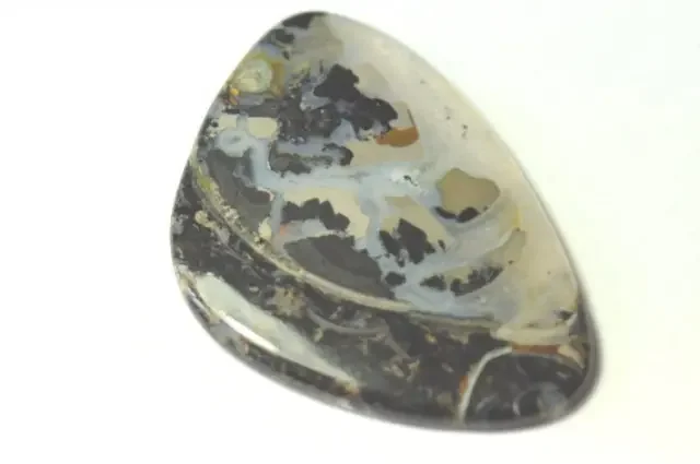 43mm designer cut Jasper Colus Fossil cabochon black blue white 43 by 29 by