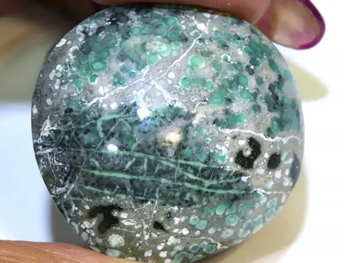44.60CTS BLUEBOY VARISCITE CLAM PSEUDOMORPH TBG-3144