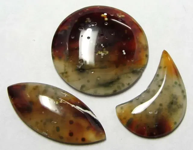 45.4 CTS PARCEL OCEAN JASPER MS 1248