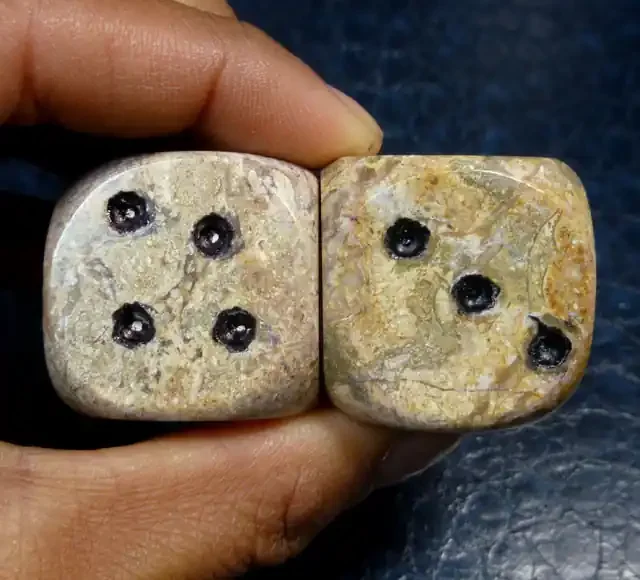 450 CTS PAIR DICE IN MOROCCAN SEA FOSSIL MA 864