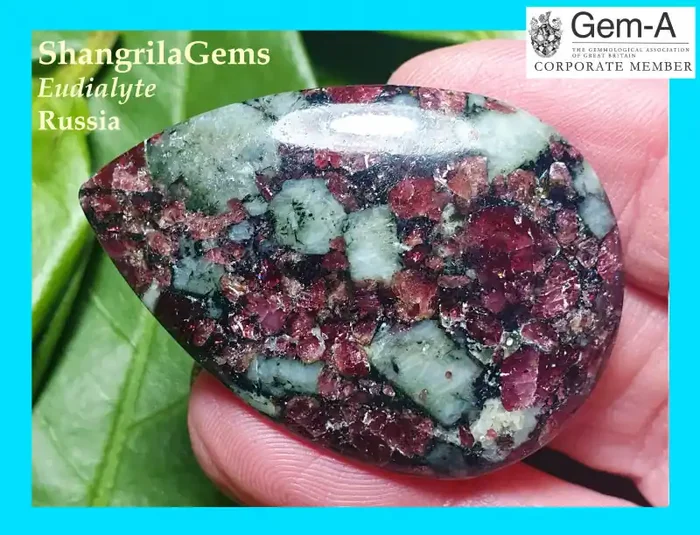 45mm 50ct Eudialyte cabochon AAA quality 45 by 33 by 5mm