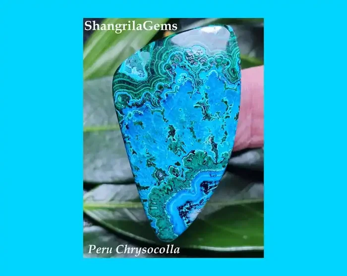 45mm Chrysocolla Malachite cabochon VIDEO 45 by 26 by 5mm 54ct from Peru