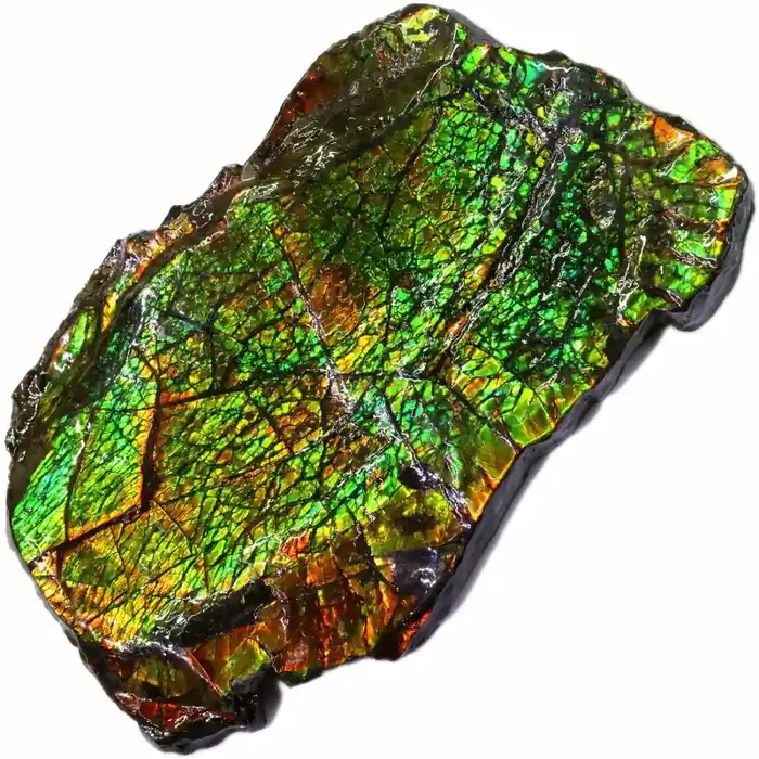 4770.00 CTS FIREY AMMONLITE SPECIMEN [STS1379]