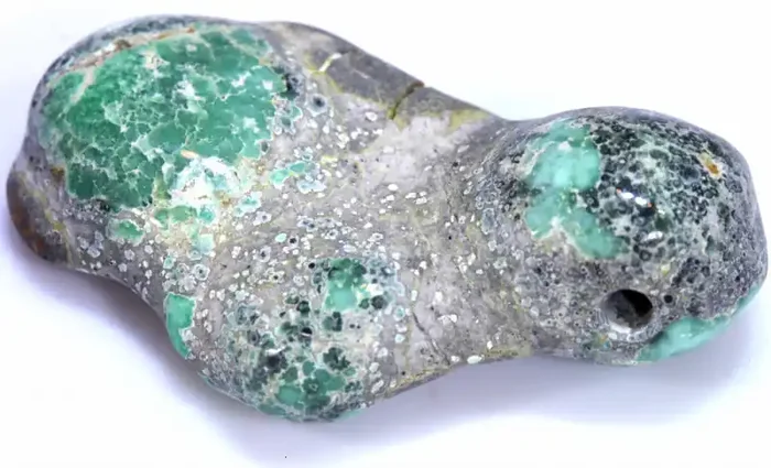 48.30CTS BLUEBOY VARISCITE CLAM PSEUDOMORPH SIDE DRILLED TBG-3504