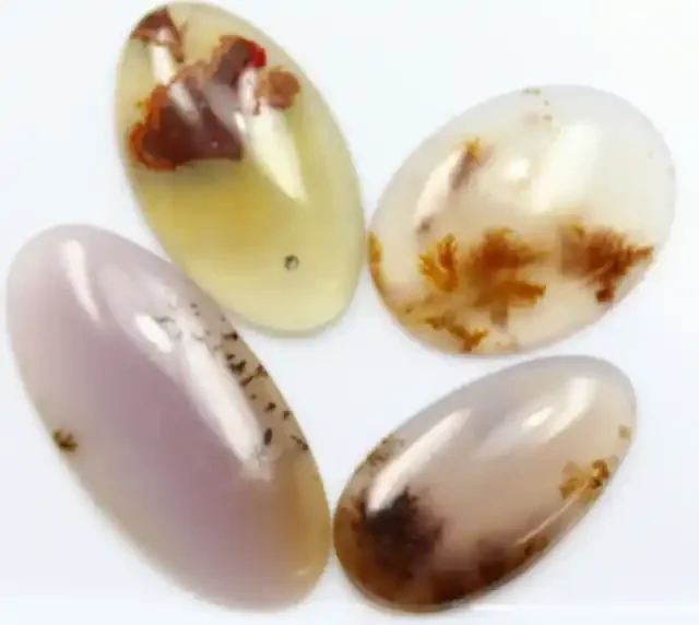 48.50 CTS – 4 PCS DENDRITIC AGATE PARCEL POLISHED STONES