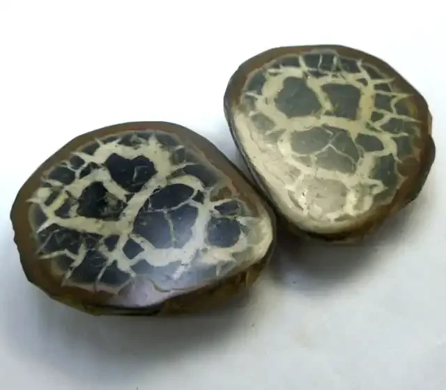 490 CTS PAIR SPLIT POLISHED SERPATIAN NODULES MS 218