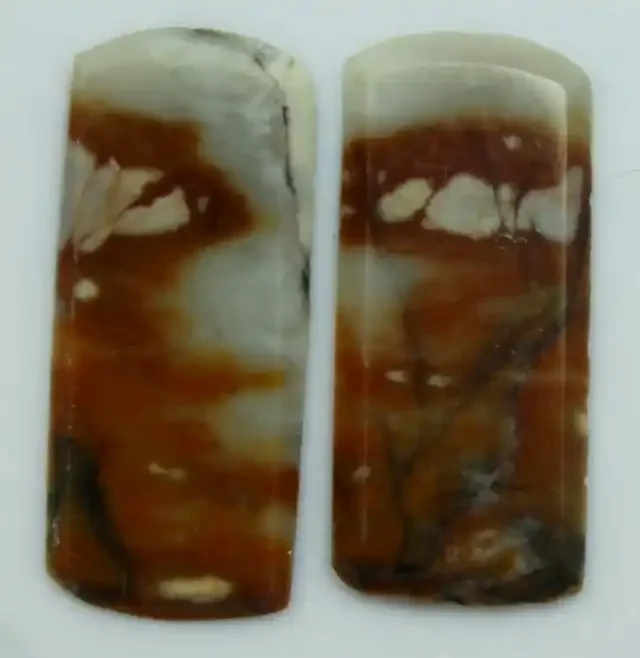 5.45 CTS JASPER PAIR POLISHED STONES GREAT RANGE IN STORE