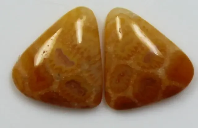 5.45 CTS PAIR OF POLISHED CORAL NATURAL STONES